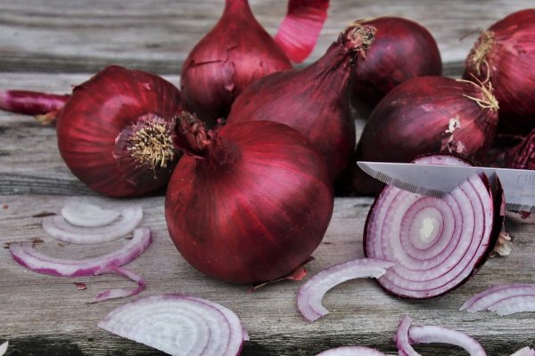 Black sprut ссылка onion